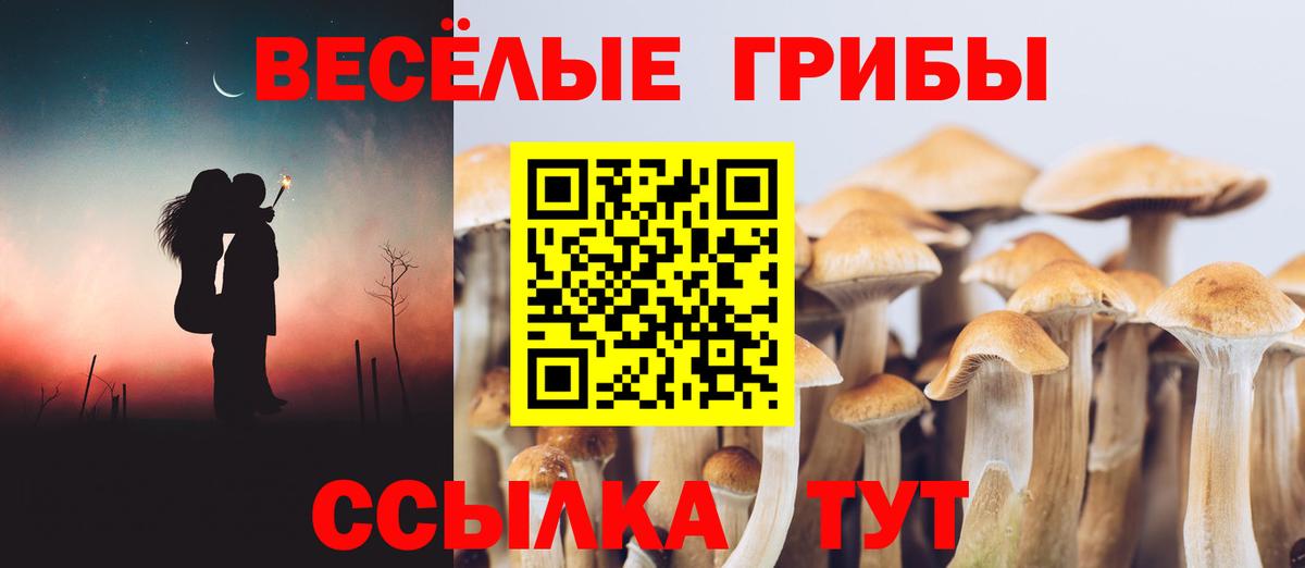 где купить наркотик  Галлюциногенные грибы GOLDEN TEACHER  Вход с VPN  Зеленодольск 